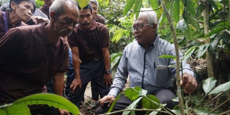 Ketua DPP LDII Rubiyo, berpesan pada Peringatan Hari Jamu Nasional bahwa manfaat jamu juga diharapkan bisa dirasakan oleh generasi muda di seluruh nusantara. Foto: Tabloid Sinar Tani.
