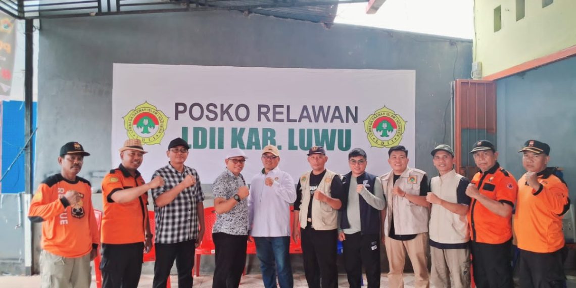 relawan ldii
