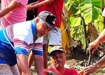 Warga LDII Karanganyar Kurbankan Ribuan Ternak Saat Idul Adha