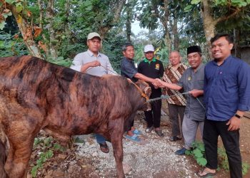 LDII Gunungkidul Terima Hibah Kurban dari Bupati