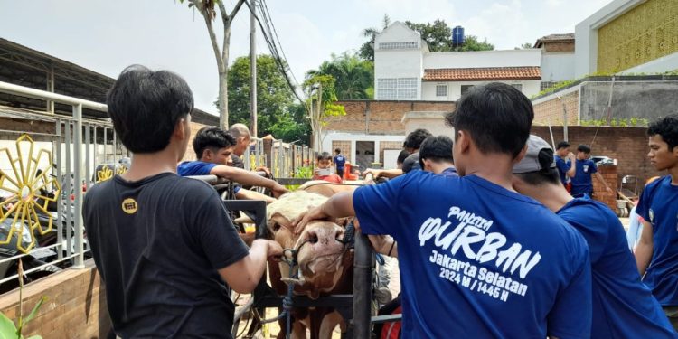 DPD LDII Jakarta Selatan menggelar penyembelihan hewan kurban dan membagikan 25.000 kantong daging kurban kepada warga di sekitar wilayah majelis-majelis taklim binaan LDII Jakarta Selatan. 
Foto: LINES.