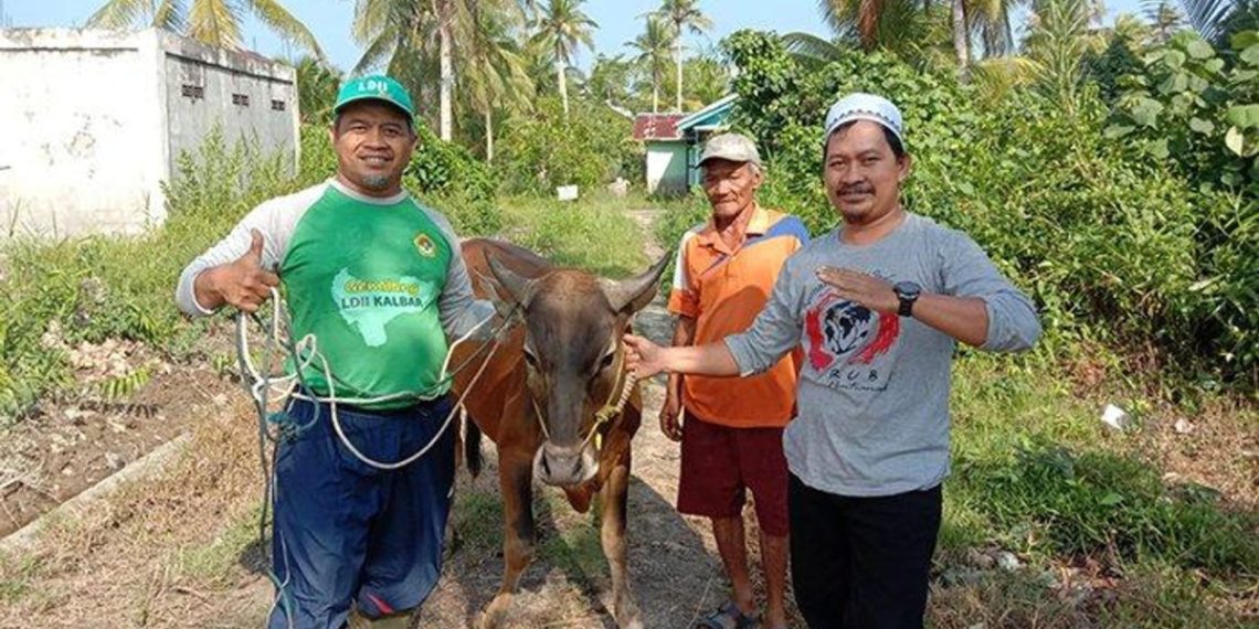 Ketua DPW LDII Kalbar, Susanto, mengajak warganya untuk memanfaatkan momentum Idul Adha dengan memperbanyak menyembelih hewan kurban pada 17 Juni 2024. Foto: LINES.