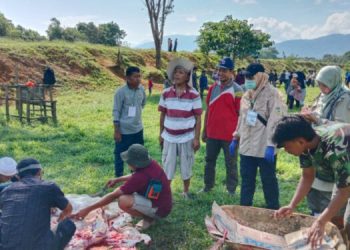 Dinas Peternakan Pantau Kesehatan Hewan Kurban LDII Tanah Laut