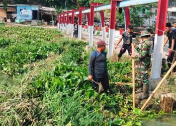 Santri Ponpes Sumber Barokah Bersihkan Eceng Gondok di Sungai Kali Malang