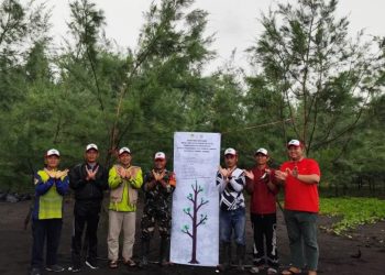 Cegah Abrasi, DPD LDII Jember Gelar Aksi Tanam 500 Bibit Pohon Cemara