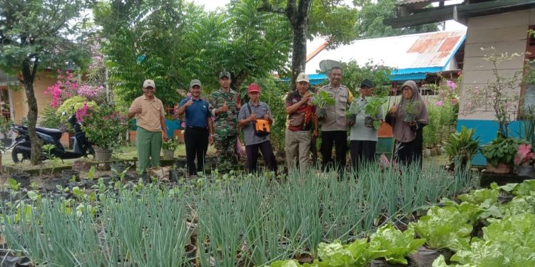 Warga LDII yang bermukim di Kampung Kalisemen Distrik Nabire Barat, Kabupaten Nabire, Papua Tengah, menanam tanaman pangan di halaman rumah. Foto: LINES