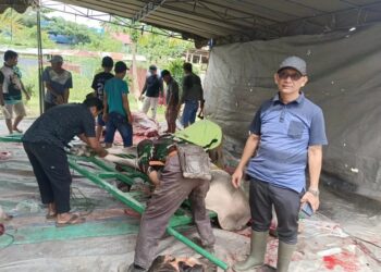 Laksanakan Idul Adha, LDII Papua Selatan Sembelih 102 Ekor Hewan Kurban