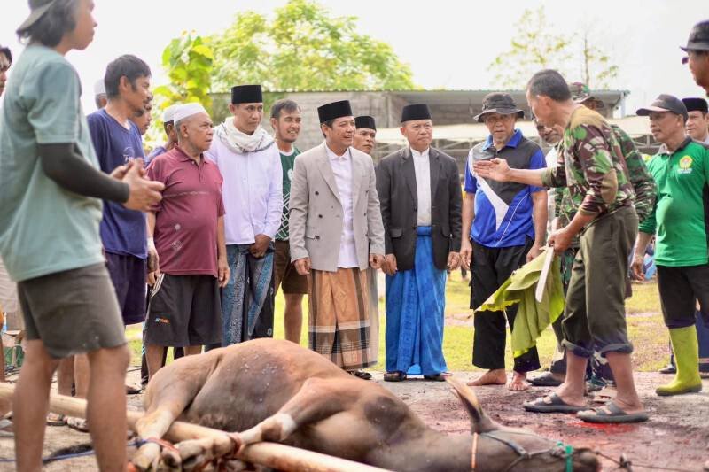 Bupati Dompu, Bambang Firdaus mengikuti proses penyembelihan hewan kurban Dewan Pimpinan Daerah (DPD) LDII Kabupaten Dompu, Nusa Tenggara Barat. Foto: LINES