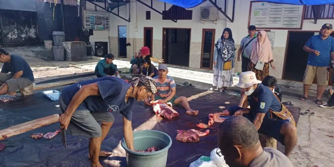 DPW LDII Provinsi Papua Barat menyembelih 10 ekor sapi sebagai hewan kurban dalam perayaan Idul Adha 1446 Hijriah, pada Jumat (6/6). Foto: LINES
