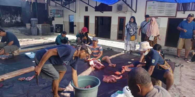 DPW LDII Provinsi Papua Barat menyembelih 10 ekor sapi sebagai hewan kurban dalam perayaan Idul Adha 1446 Hijriah, pada Jumat (6/6). Foto: LINES