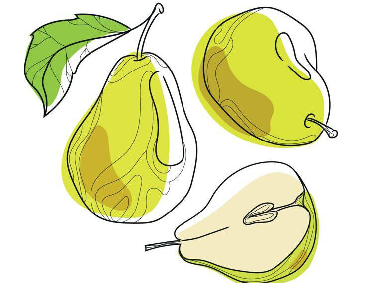 Ilustrasi: Vecteezy.