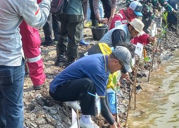 LDII Subang Turut Serta dalam Penanaman 24.000 Mangrove di Mayangan