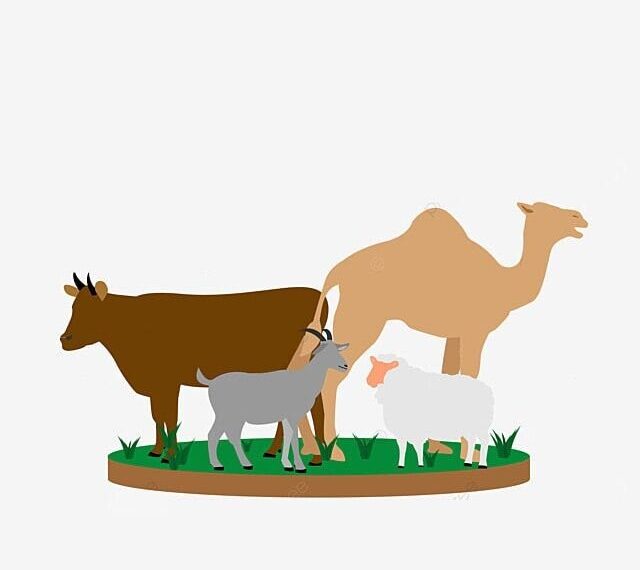 Ilustrasi: Pinterest.