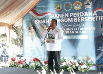 LDII Dorong Sorgum Jadi Komoditas Strategis Nasional