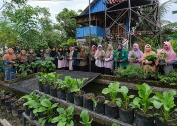 Hijaukan Lahan Sempit, Warga LDII Kota Kendari Jadi Pelopor Urban Farming dan Bank Sampah