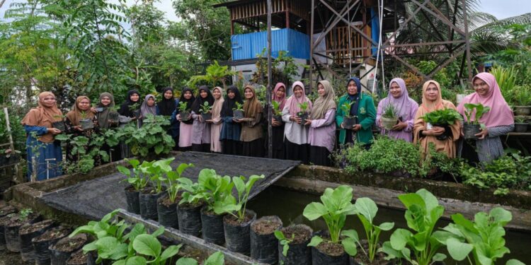 Berawal dari keprihatinannya terhadap tumpukan sampah yang merusak pemandangan dan minimnya ruang hijau di pemukiman padat, warga LDII Kota Kendari, Sulawesi Tenggara menggagas kegiatan pertanian kota (urban farming) sebagai solusi kreatif. Foto: LINES