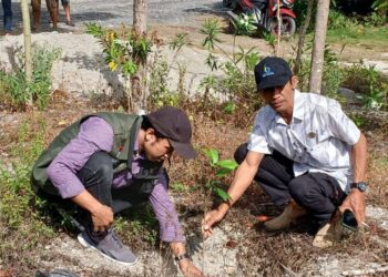 Peduli Lingkungan dan Ekonomi, LDII Sigi Bagikan Bibit Mangga