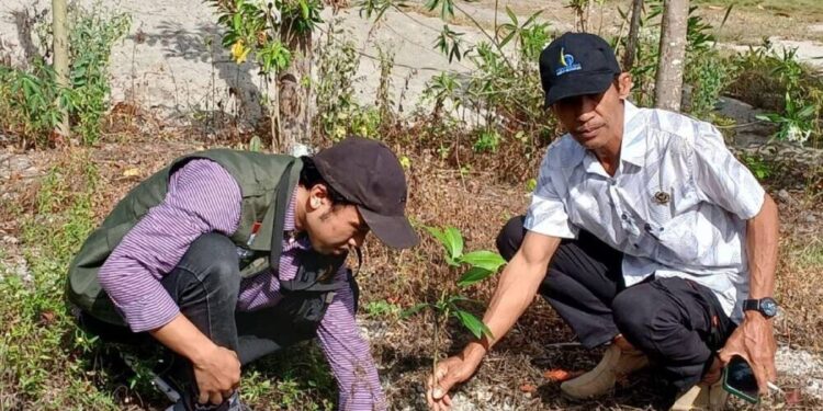 DPD LDII Kabupaten Sigi membagikan ratusan bibit mangga kepada warga Desa Tinggede Selatan, Kecamatan Marawola, Kabupaten Sigi. Foto: LINES.