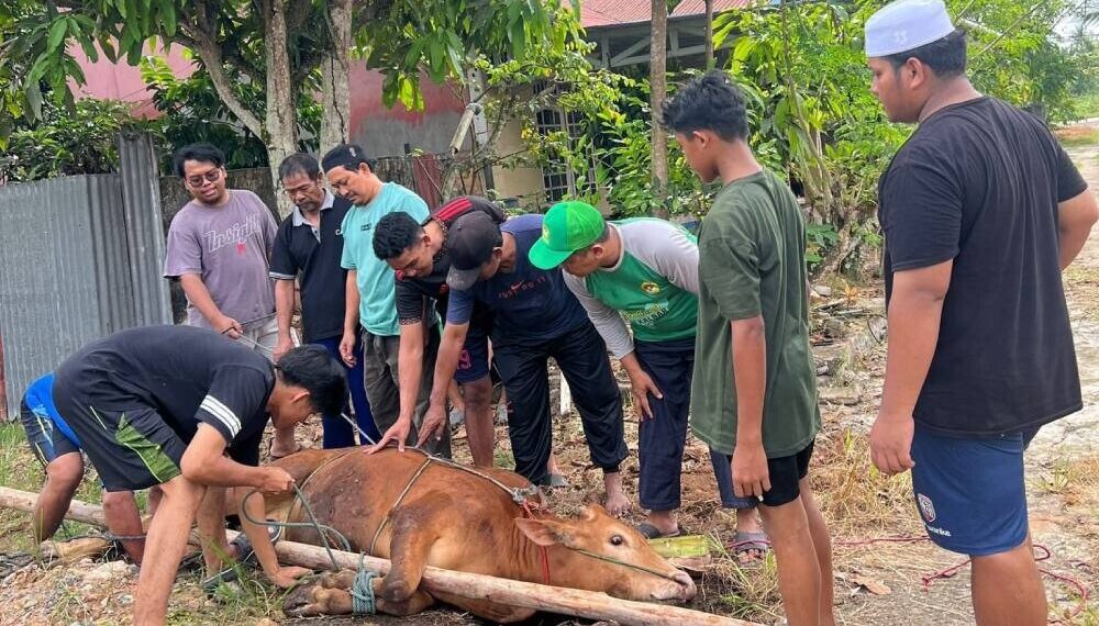 LDII Kalimantan Barat mengalami peningkatan kurban dari tahun lalu. Selain itu, pembagian didistribusikan secara door to door. Foto: LINES.