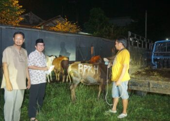 Badan Pengelola Keuangan Haji Berikan Hewan Kurban Pada Ponpes Minhajurrosyidin