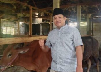 Saat Idul Adha, LDII Terima Bantuan Sapi Kurban dari Bupati Bandung dan Sembelih 411 Ekor