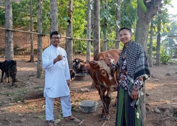 Tingkatkan Iman dan Takwa, LDII Pemanggilan Kurban 79 Ekor Sapi dan 114 Ekor Kambing