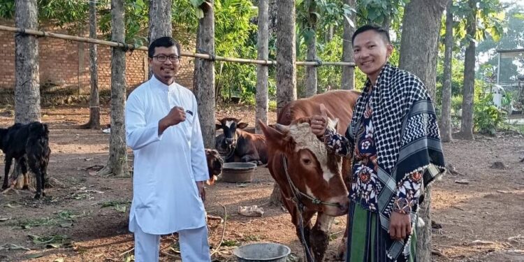 PAC LDII Pemanggilan kurban 79 ekor sapi dan 114 ekor kambing. Foto: LINES.