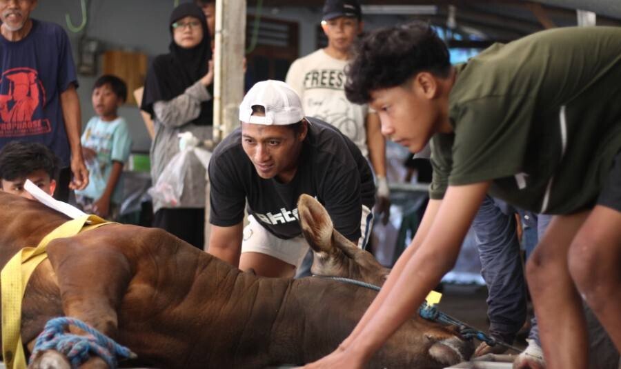 LDII) se-Kapanewon Mlati, Sleman, menyembelih 110 ekor hewan kurban. Foto: LINES.
