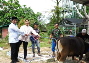 LDII Kota Tarakan Serahkan Hewan Kurban ke Kodim 0907/Tarakan di Hari Raya Idul Adha