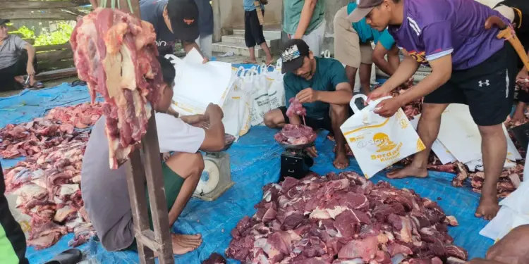 Pimpinan Anak Cabang (PAC) LDII Desa Kebunsari, Kecamatan Wonomulyo, Kabupaten Polewali Mandar menyembelih sebanyak 8 ekor sapi. Foto: LINES