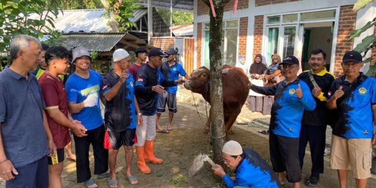 PC LDII Kecamatan Cimanggung, Kabupaten Sumedang, Jawa Barat, menyembelih lima ekor sapi dan dua ekor kambing. Foto: LINES.