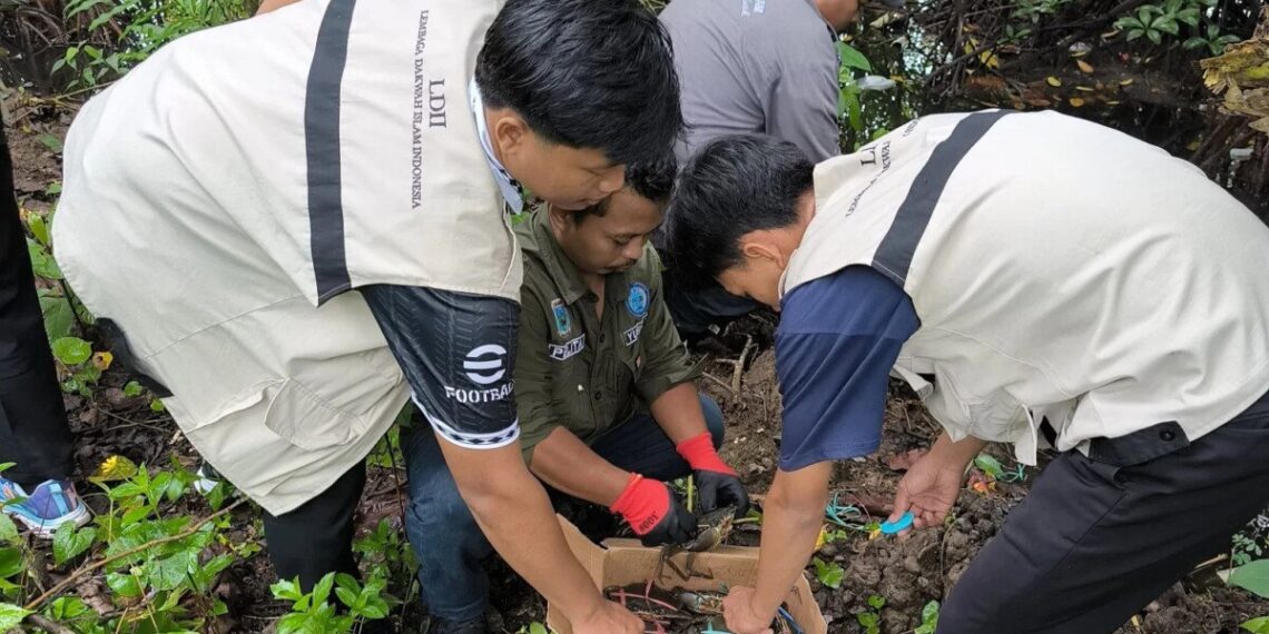 Kantor Wilayah (Kanwil) Kementerian Agama (Kemenag) Papua Barat melaunching penanaman sejuta pohon matoa yang juga diikuti pemuda LDII Manokwari. Foto: LINES.