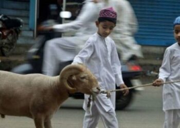 Membumikan Semangat Kurban Sejak Usia Cabe Rawit