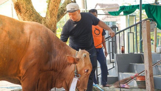 DPD LDII Kota Semarang menunjukkan kepedulian sosial melalui momentum Idul Adha 2025. Foto: LINES