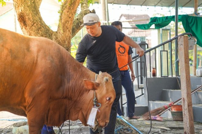 DPD LDII Kota Semarang menunjukkan kepedulian sosial melalui momentum Idul Adha 2025. Foto: LINES