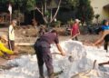 LDII Gunungkidul Hidupkan Gotong Royong dengan Kerja Bakti di Nglipar