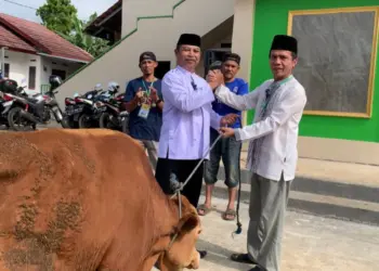 Rayakan Idul Adha, LDII Kuningan Salurkan Hewan Kurban kepada Warga Sekitar