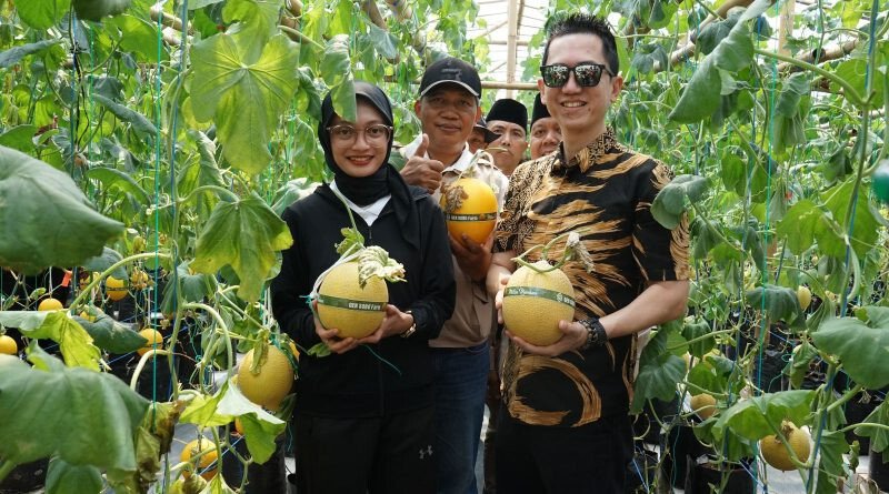 Wali Kota Kediri Vinanda Prameswati panen perdana buah melon yang dikelola GEN SOBO Farm Burengan, Kediri, Jawa Timur. Foto: LINES.