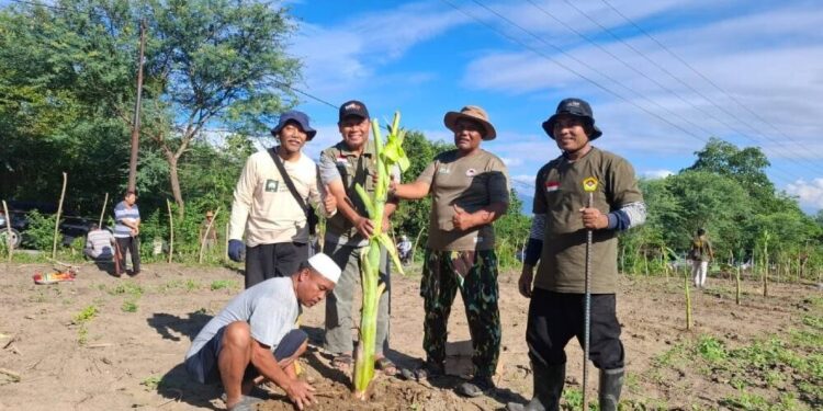 DPD LDII Kota Palu, Sigi, dan Donggala (Pasigala) menggelar kerja bakti bersama. Foto: LINES.