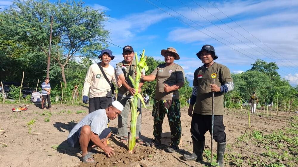 DPD LDII Kota Palu, Sigi, dan Donggala (Pasigala) menggelar kerja bakti bersama. Foto: LINES.