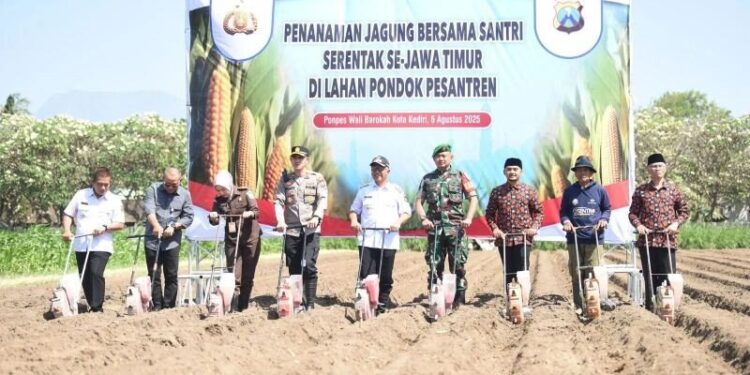 Polres Kediri Kota berkolaborasi dengan Yayasan Wali Barokah melaksanakan program “Penanaman Jagung Bersama Santri Serentak se-Jawa Timur. Foto: LINES.