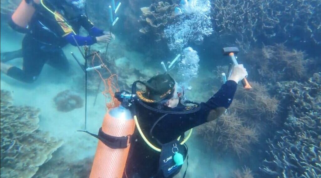 Upaya pemerintah dalam mencegah terjadinya kerusakan ekosistem laut terus dilakukan. Di antaranya menanam bibit terumbu karang di pesisir Merak dan perairan Sangiang pada 3 dan 13 Agustus 2025. Foto: LINES