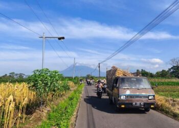 Indonesia Kaya Tapi Bisa Lapar, Inilah Bom Waktu Pangan yang Kita Abaikan