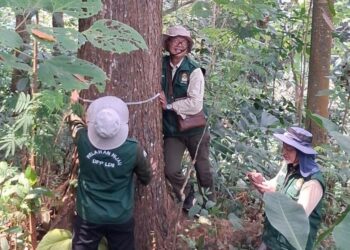 Indonesia Kaya, Tapi Bisa Lapar: Bom Waktu Pangan yang Kita Abaikan