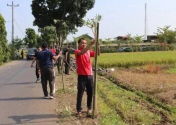 LDII Dukung Program Jumat Bersih Pemkab Pemalang dengan Tanam Pohon Tabebuya