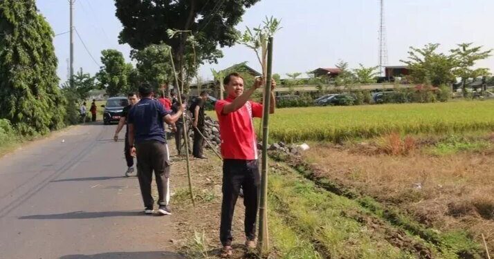DPD LDII Kabupaten Pemalang menanam pohon tabebuya di Desa Lawangrejo, Pemalang. Foto: LINES.