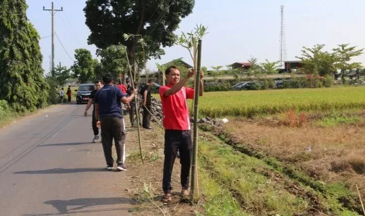 DPD LDII Kabupaten Pemalang menanam pohon tabebuya di Desa Lawangrejo, Pemalang. Foto: LINES.