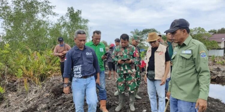 Kepala Dinas Pertanian dan Ketahanan Pangan (DPKP) Kalimantan Utara, Eddy Rudiyono yang didampingi Kepala Dinas Pertanian Kota Tarakan tinjau lokasi lahan pertanian LDII Kaltara. Foto: LINES.