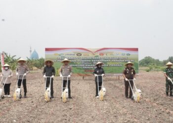 LDII Dukung Polresta Sidoarjo Gelar Tanam Jagung Serentak Kuartal IV