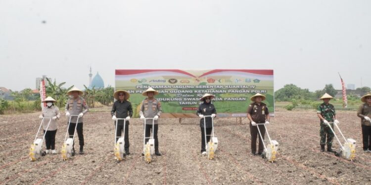 LDII Sidoarjo ikut Tanam Jagung Serentak Polresta Sidoarjo. Foto: LINES.